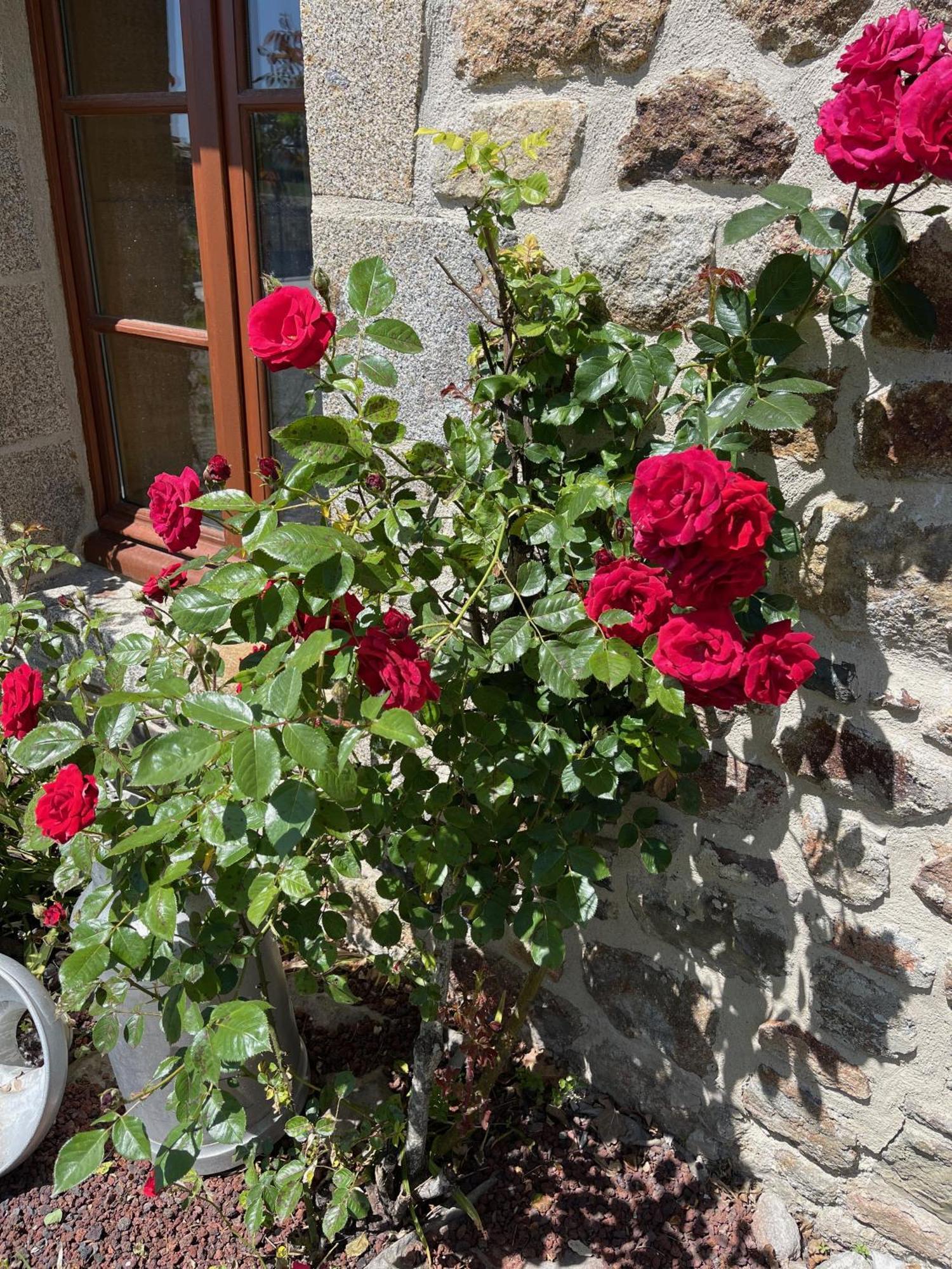 Bed & Breakfast Le Pont De La Baie *
